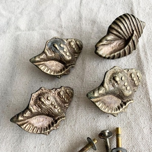 STOCK FAIBLE ! bouton de tiroir vintage en forme de conque, laiton coulé, décor côtier | Prix par pièce