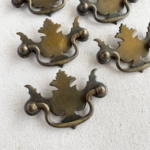 Könnte beinhalten: Eine Sammlung antiker Schubladengriffe aus Messing. Jeder Griff hat eine blattförmige Rückplatte und einen gebogenen Griff. Das Messing hat eine warme, gealterte Patina, die Vintage-Charme suggeriert. Ideal für Möbel.