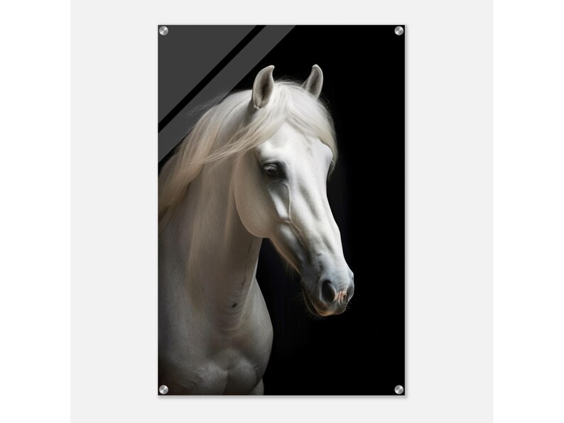 White Horse Wall Art Modern Style Acrylic Glass Print Etsy