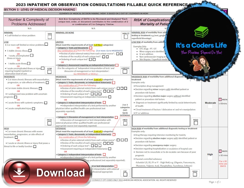 AMA 2023 FILLABLE PDF Inpatient or Observation Consultations E/M Audit ...