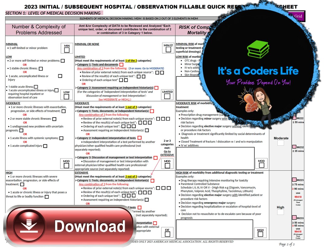 AMA 2023 FILLABLE PDF E/M Initial Subsequent Hospital or - Etsy