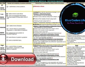AMA 2023 FILLABLE PDF Inpatient or Observation Consultations E/M Audit ...