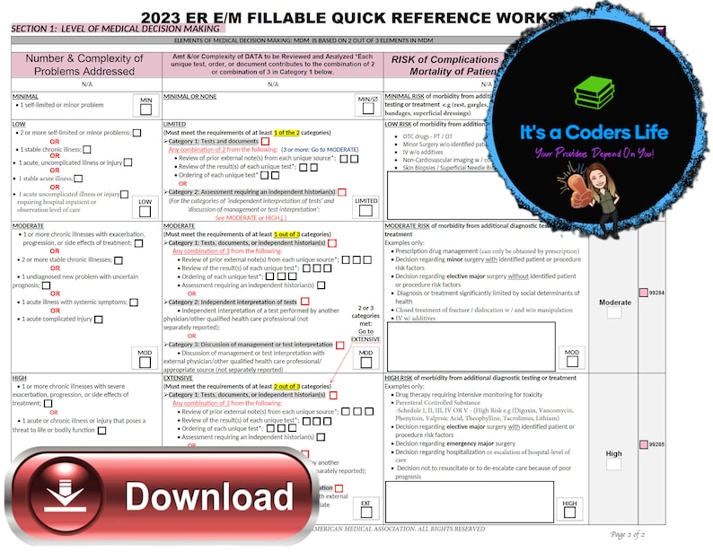 AMA 2023 FILLABLE PDF Emergency Room E/M Audit Tool. Improve Etsy