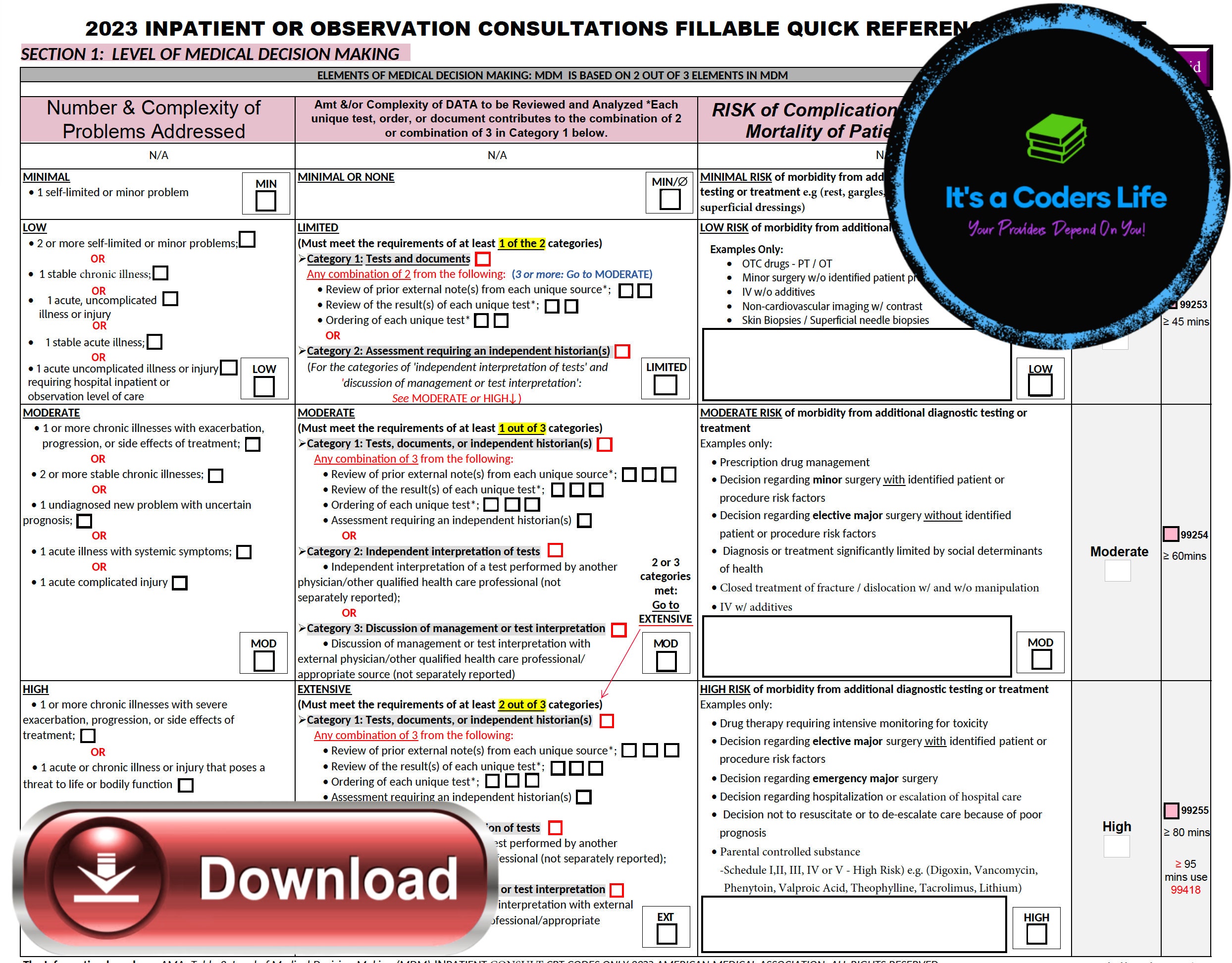 AMA 2023 FILLABLE PDF Inpatient or Observation Consultations E/M Audit ...