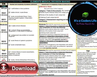 AMA 2023 E/M Initial - Subsequent Hospital or Observation Worksheet Tool (Template) Printable Digital Copy