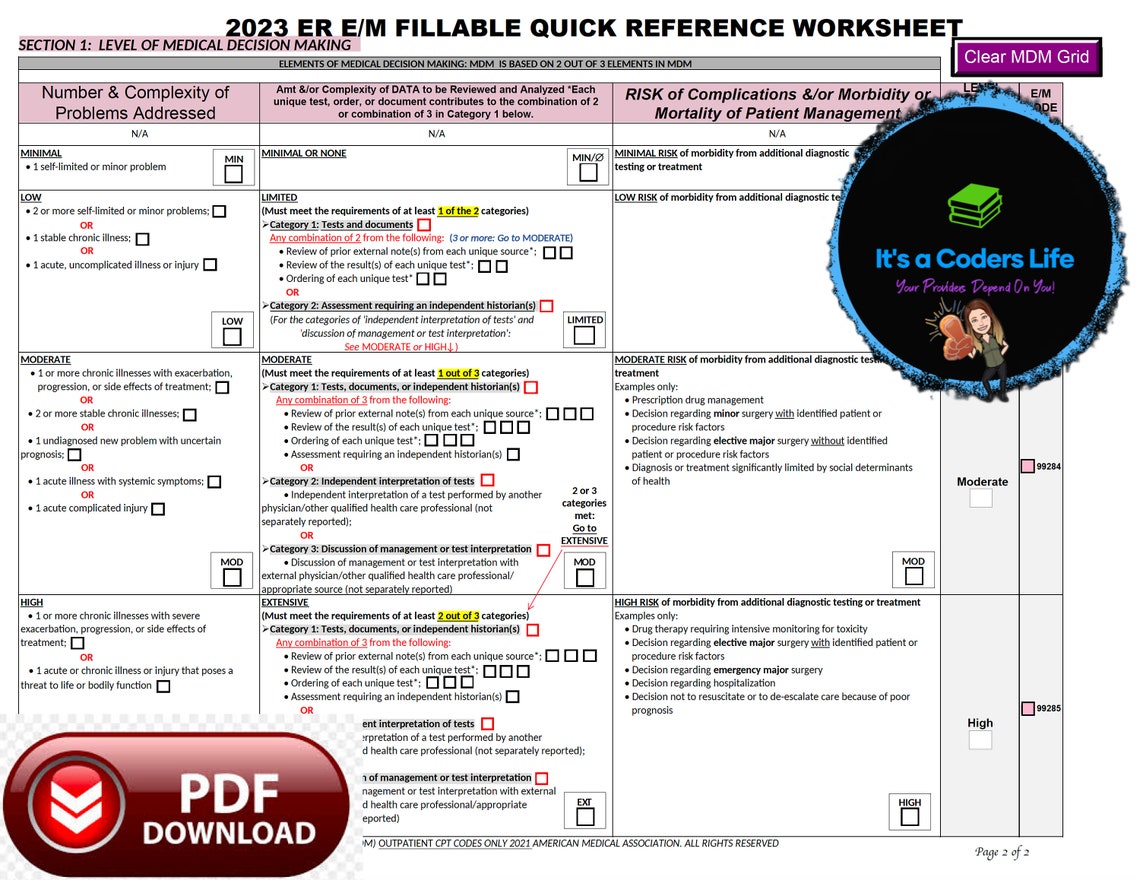 AMA 2023 FILLABLE PDF Emergency Room E/M Audit Tool. Improve - Etsy