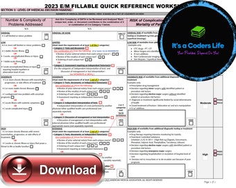 AMA 2023 FILLABLE PDF Outpatient E/M Audit Tool Worksheet. Improve data input with this efficient worksheet Grid (Printable Digital Copy)