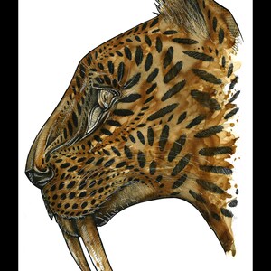 Stampa poster digitale carta natura animale matita e caffè