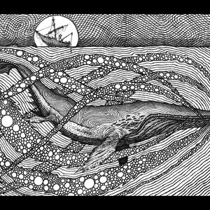 Stampa poster digitale carta natura animale matita bianco e nero
