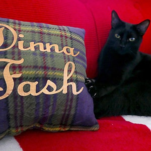 May include: A black cat sits on a red and white sofa with two cushions. One cushion is purple with a green plaid pattern and the words "Dinna Fash" written in gold script. The other cushion is a plaid pattern with the word "Sa" written in gold script.