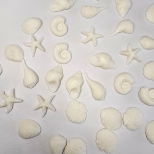 Seashell Cupcake Toppers For Birthday Party Edible Seashell Cake Toppers For Wedding Beach Theme