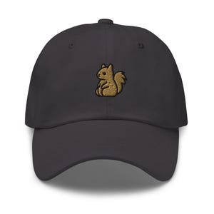 May include: A dark gray baseball cap with an embroidered brown squirrel design.