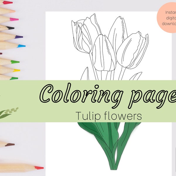 Floral Coloring Page: Tulip flowers, Spring Blooms, Digital Coloring Book, Printable, Instant Download, Procreate