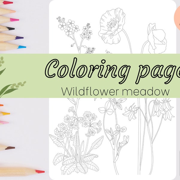 Wildflower Floral Coloring Pages for Adults, Flower Meadow, Printable & Digital Coloring Sheets for Relaxation, Instant Download, Procreate