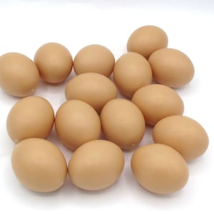 Set Of 14 Brown Plastic Faux Chicken Eggs For Display Or Craft Use U