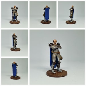 Hand Painted DnD Knight/Paladin/Champion