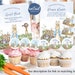 Peter Rabbit Guest Book Sign | Guest Book With Sign in Sheets | Peter ...