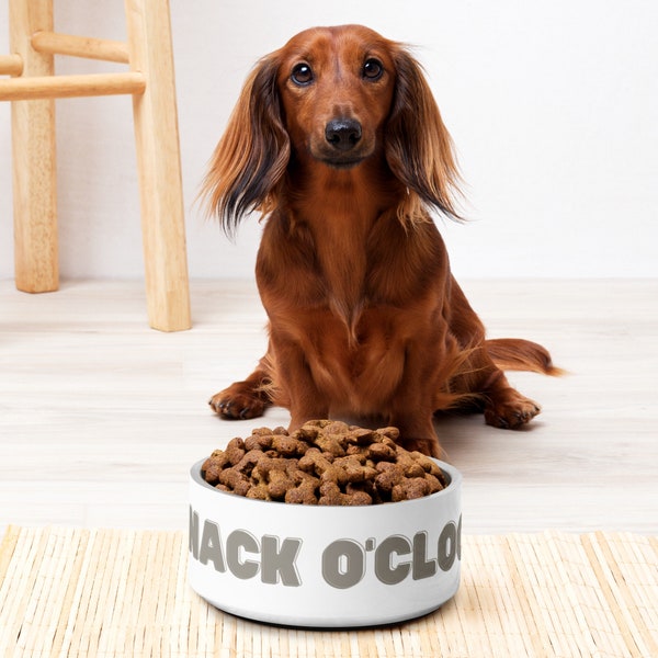 Snack O'Clock Futterschüssel für Hunde