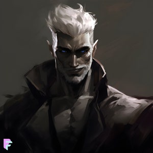 Ilustración de personajes personalizada para autores, arte de personajes originales, retrato de MC de libros, encargo de OC, arte de portada de libro de novela de fantasía personalizado