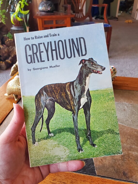 How to Raise and Train a Greyhound - Georgiana Mueller - Vintage