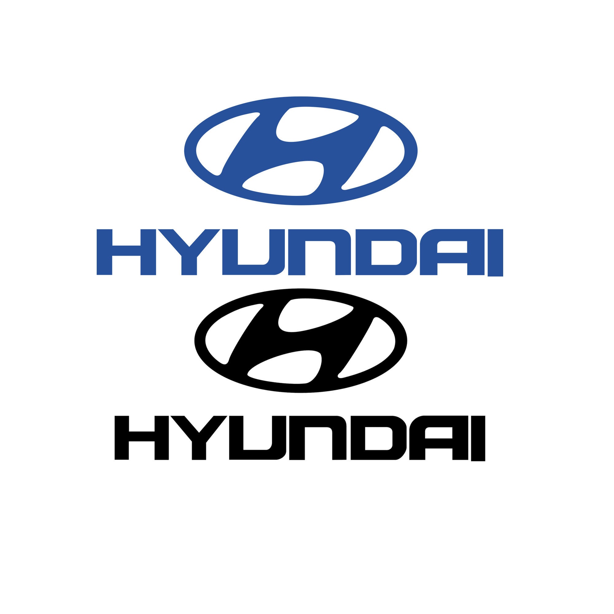 Hyundai Logo Car Keychain With Carabiner Hook price in UAE | Noon UAE |  kanbkam