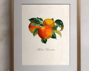 "Herbst"" von Malus Domestic, Aquarell Blumen."