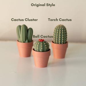 Clicky Cacti 3D Printed Fidgets