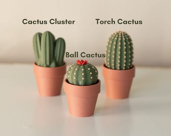 Clicky Cacti 3D Printed Fidgets