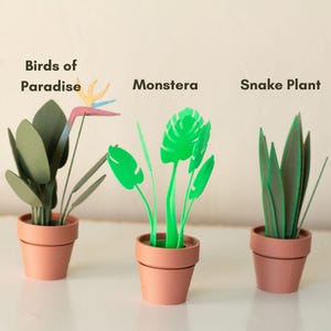 May include: Three papercraft potted plants, a green Monstera, a green Snake Plant, and a green Birds of Paradise with a yellow and orange flower.