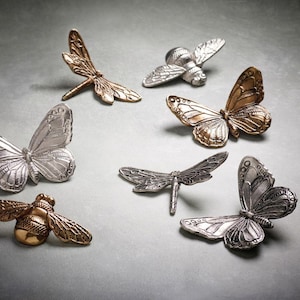 Étreinte papillon, libellule et bourdon Equateur x 1