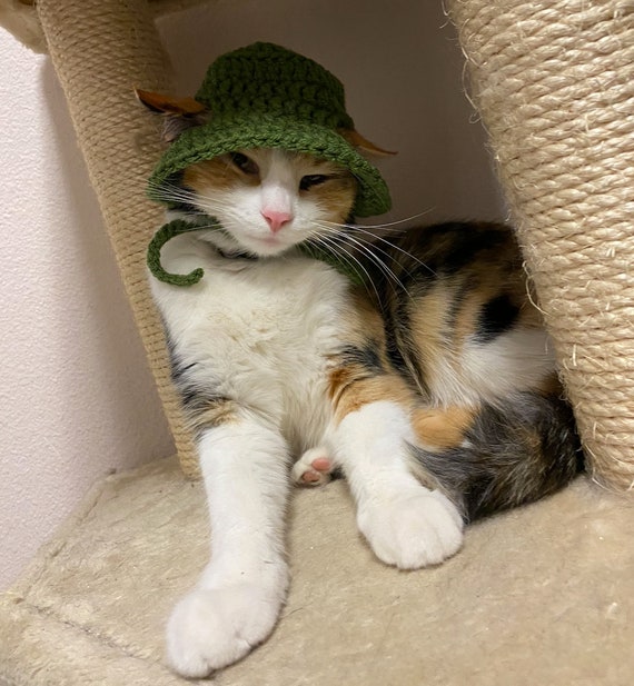 Cat Bucket Hat 