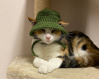 Cat with bucket hat hot sale