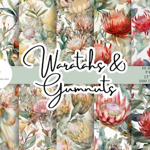 Pode incluir: Dez designs de papel digital com ilustrações de aquarela de waratahs vermelhos e folhas de eucalipto sobre um fundo branco. Os papéis medem 30,5 cm x 30,5 cm e 300 DPI.