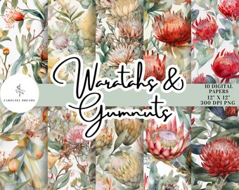 May include: Ten digital paper designs featuring watercolor illustrations of red waratahs and eucalyptus leaves on a white background. The papers are 12 inches by 12 inches and 300 DPI.