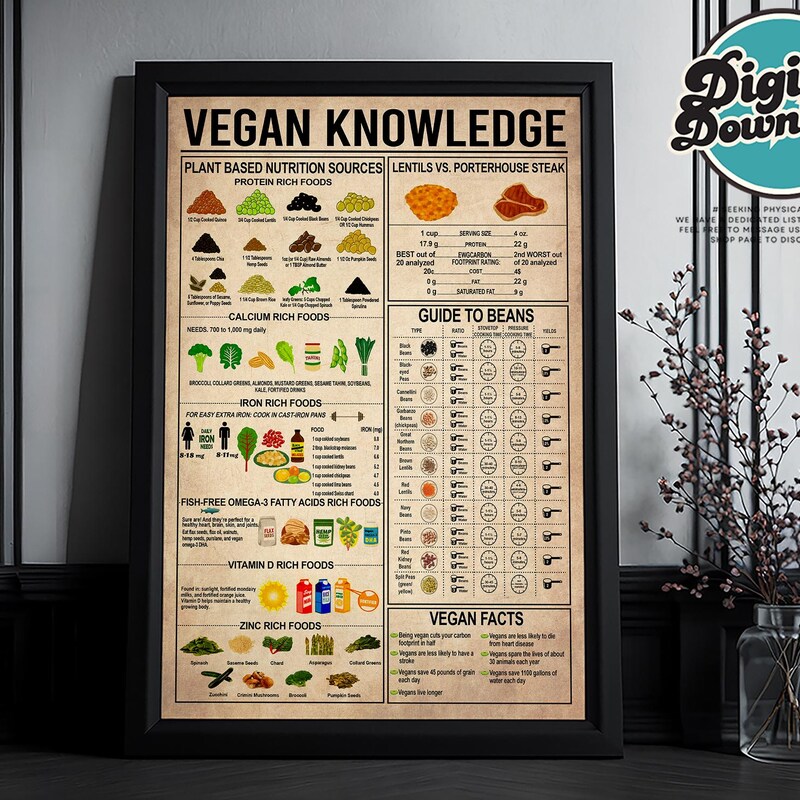 Vegetarian Protein Chart Etsy