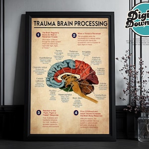 Trauma Brain Processing Digital Print Brain Anatomy Poster Brain Zones Mental Health Wall Art  Trauma  Fight or Flight  Nervous System