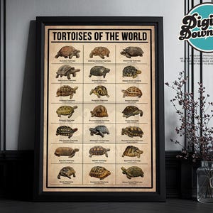 Tortoises of the world printable Vintage Poster, Tortoise Turtle Gift, Turtle Poster, Vintage Knowledge Poster, Home Art, Education
