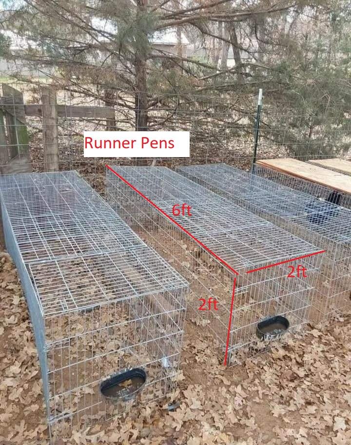 Set of 3 Runner Pens – 6 ft x 2 ft x 2 ft – Galvanized Steel Cages  - (G12) PESO = 48 lb