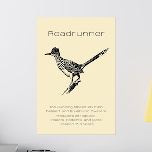 Roadrunner Poster Road Runner Print Roadrunner Gift Desert Bird Poster Bird Lover Gift Roadrunner Lover Gift Vintage Desert Wall Art Gift