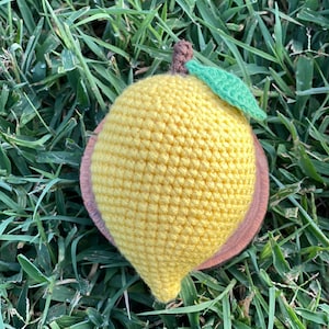 May include: A handmade, yellow crochet lemon with a green leaf and brown stem, resting on a wooden base. The lemon is set against a backdrop of green grass.