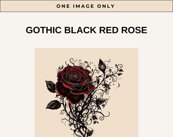 Red & Black Single Rose, Gothic Rose, Valantines Day Red Rose