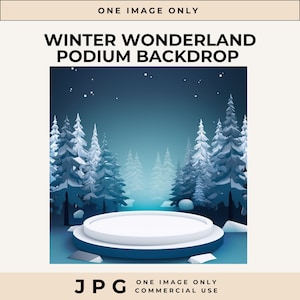 Toile de fond pour podium Winter Wonderland, fond Winter Wonderland, toile de fond photographie, toile de fond neige, téléchargement numérique, superposition de Photoshop