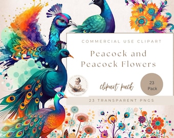 Watercolor Peacock Clipart Pack, Transparent Pngs clip art, Vintage Peacock Bird Feathers, Peacock Flowers, Digital Download, Commercial Use