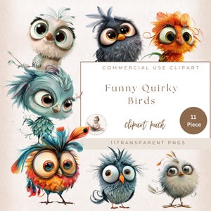 Funny Quirky Birds Clip Art, Funny Birds, Pets Clipart, Whimsical Clipart, Scrapbook Images, Commercial use, Digital Crafts, Transparent Png