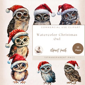 Corujas de Natal Clipart, PNG transparente, Coruja de Natal fofa Clipart, Clipart de aquarela, Diário de lixo de coruja de Natal, Efêmeras festivas