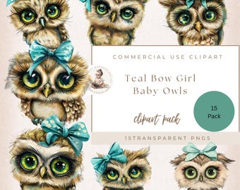 Teal Bow Baby Girl Owls Clipart, Transparent PNG, Cute Owl Clipart, Watercolor Clipart, Teal Bow Owl Junk Journal, Baby Owl Ephemera