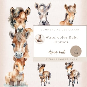 Cute Baby Horse Clipart, Watercolor Baby Horse Graphics, Farm Animal Clipart, Cute Horses Images, Transparent Png, Baby Shower Clipart