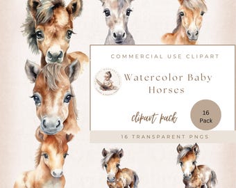 かわいい赤ちゃん馬のクリップアート、水彩画の赤ちゃん馬のグラフィック、農場の動物のクリップアート、かわいい馬の画像、透明な PNG、ベビーシャワーのクリップアート