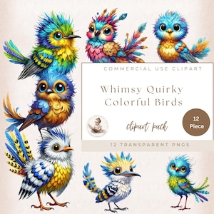 Schrullige Vogel Clipart, bunte lustige Vogel Clipart, wunderliche Clipart, lustige Vogel Grafik, schrullige Vogel Ephemera, kommerzielle Nutzung