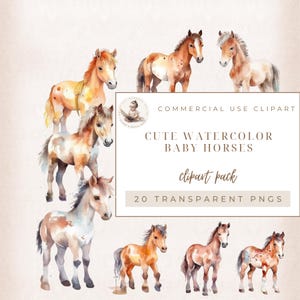 Baby Horse Clipart, Watercolor Horse, Baby Animals, Western Clipart, Farm Animals PNG, Cute Horses Images, Commercial Use, Nursery Wall Art